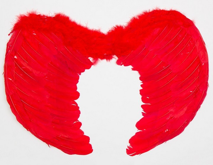 Feather angel wings
