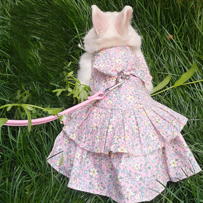 Leash Bunny, Kitten, Cat, Lop-Eared Rabbit, Decoration Costume