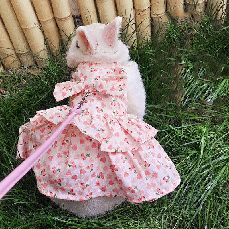 Leash Bunny, Kitten, Cat, Lop-Eared Rabbit, Decoration Costume