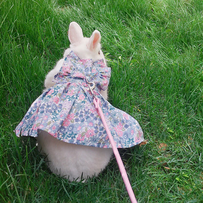 Leash Bunny, Kitten, Cat, Lop-Eared Rabbit, Decoration Costume