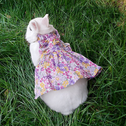 Leash Bunny, Kitten, Cat, Lop-Eared Rabbit, Decoration Costume