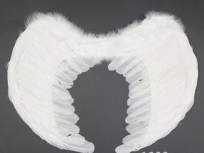 Feather angel wings