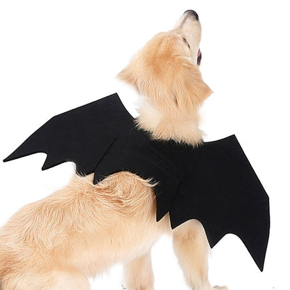 Pet bat wings clothes