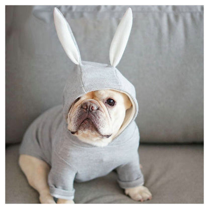 Small dog knitted sweater rabbit ears costume